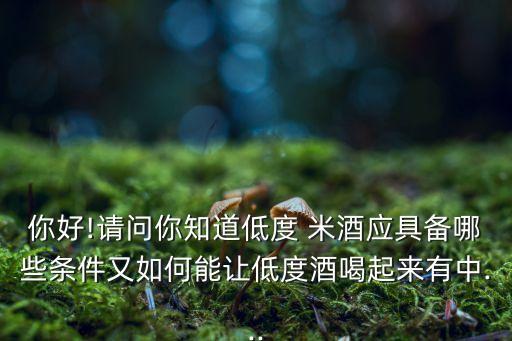 你好!請問你知道低度 米酒應(yīng)具備哪些條件又如何能讓低度酒喝起來有中...