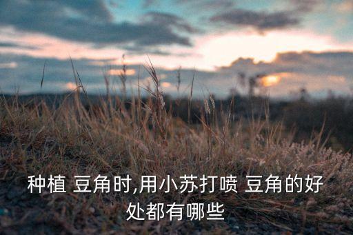 種植 豆角時,用小蘇打噴 豆角的好處都有哪些