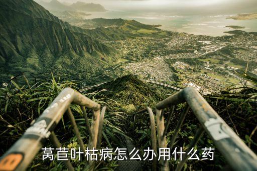 筍菜用什么農(nóng)藥最好,什么菜不打農(nóng)藥不用激素