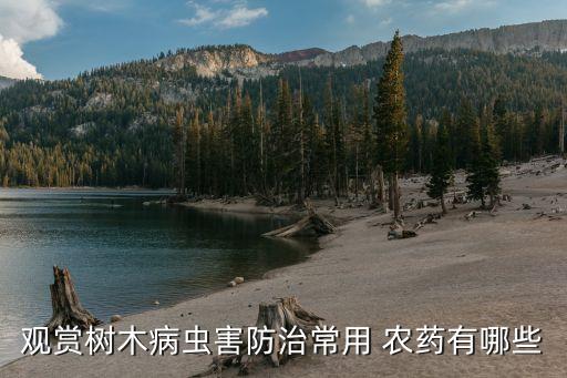 院子噴農藥用什么藥,院子里噴了農藥多久可以散