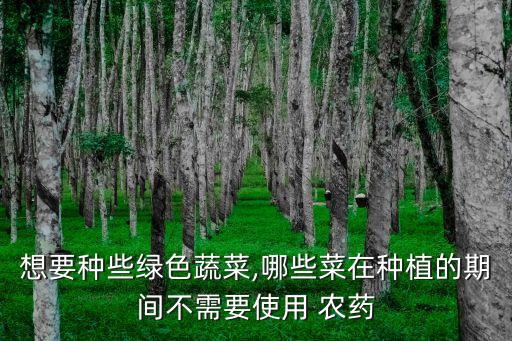 農村種什么不用打農藥,農村田種什么不用打理