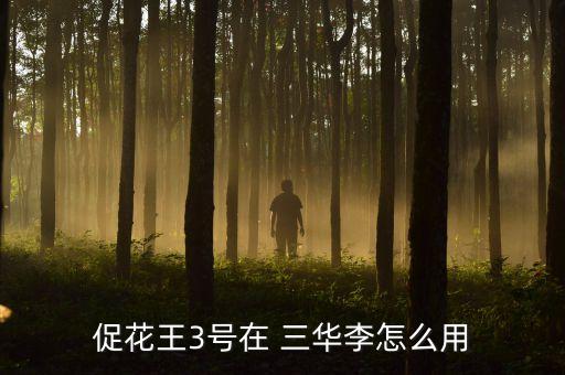 三華李什么時候打農藥,從化三華李什么時候成熟