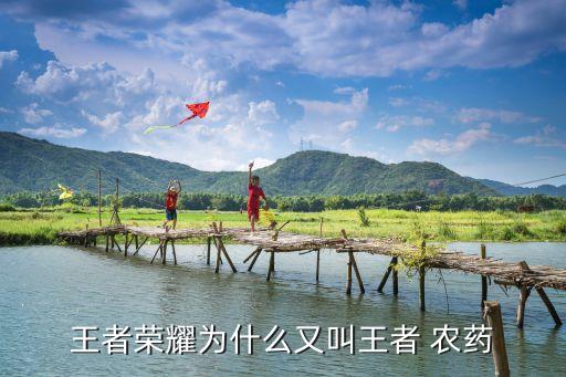王者榮耀為什么又叫王者 農(nóng)藥