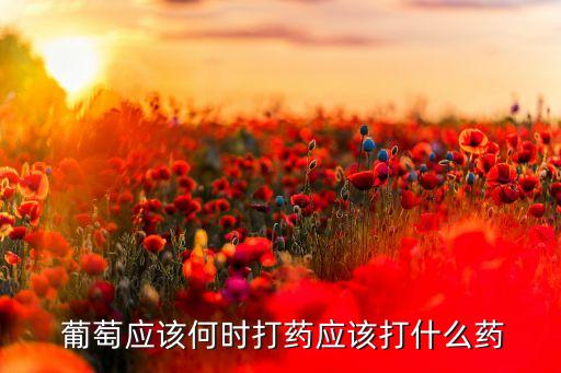 葡萄什么季節用農藥,葡萄一般打什么農藥