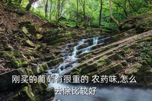 剛買的葡萄有很重的 農藥味,怎么 去除比較好