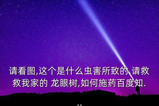 噴龍眼用什么農藥,噴農藥什么時間效果最好