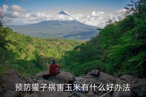 獾子最怕什么東西,獾子怕什么農藥