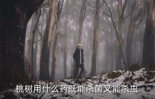 桃樹(shù)用什么藥既能殺菌又能殺蟲(chóng)