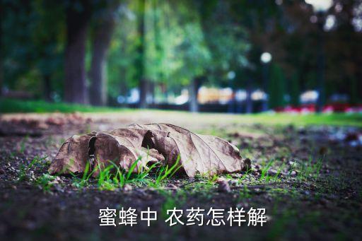 蜜蜂擔心農藥喂什么藥,什么農藥對蜜蜂傷害最大