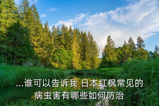 ...誰(shuí)可以告訴我 日本紅楓常見(jiàn)的病蟲(chóng)害有哪些如何防治