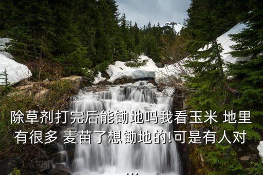 谷子地里有麥苗打什么農藥