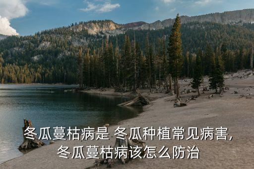 冬瓜打什么農(nóng)藥好,冬瓜一般用什么農(nóng)藥
