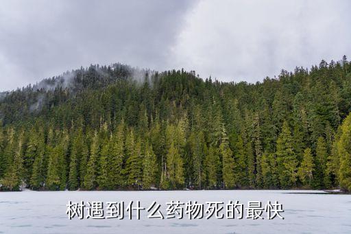樹遇到什么藥物死的最快