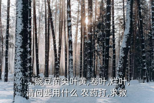 豌豆用什么農藥最好,豌豆和什么菜搭配最好