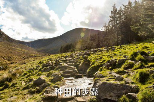 種地什么時間撒農藥,夢見種地撒農藥