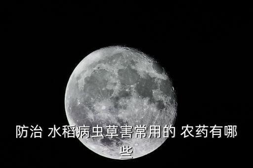除蚜蟲用什么農藥,什么農藥治水稻蚜蟲好呢