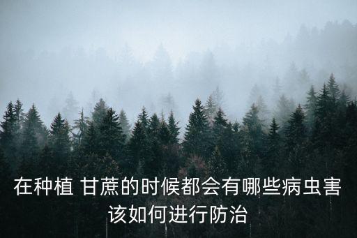 甘蔗葉黃用什么農藥噴,種甘蔗打什么農藥