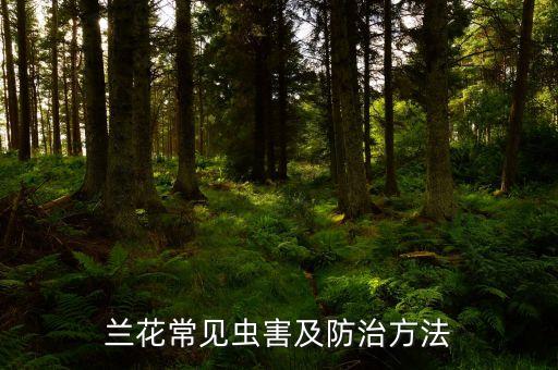 蘭花常見蟲害及防治方法