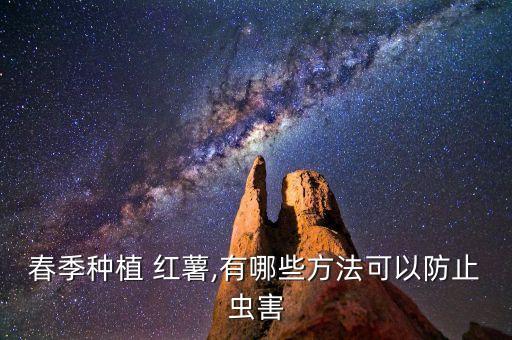 春季種植 紅薯,有哪些方法可以防止蟲害