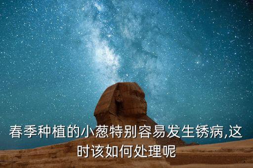 春季種植的小蔥特別容易發生銹病,這時該如何處理呢