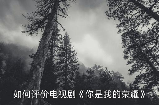 如何評(píng)價(jià)電視劇《你是我的榮耀》