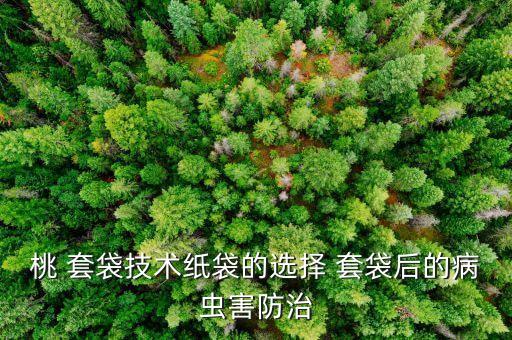 桃 套袋技術(shù)紙袋的選擇 套袋后的病蟲害防治