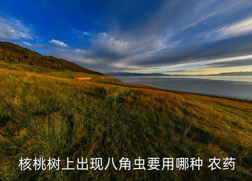  核桃樹上出現八角蟲要用哪種 農藥