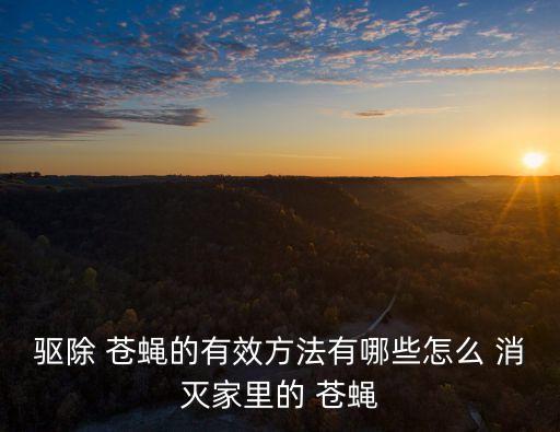 驅(qū)除 蒼蠅的有效方法有哪些怎么 消滅家里的 蒼蠅