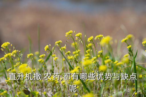噴灑農藥屬于什么航空,航空噴灑農藥屬于什么服務