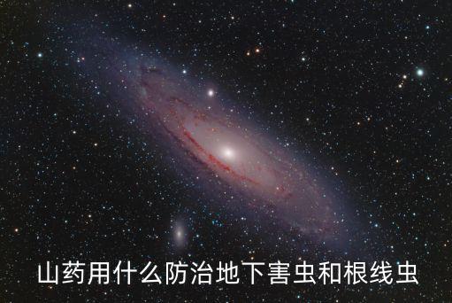  山藥用什么防治地下害蟲和根線蟲