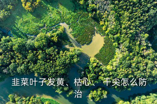 韭菜干尖用什么農藥最好,韭菜上一般打什么農藥