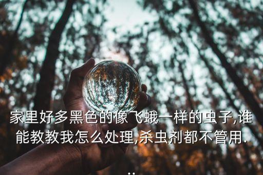 螟蛾有什么農(nóng)藥,螟蛾代表什么