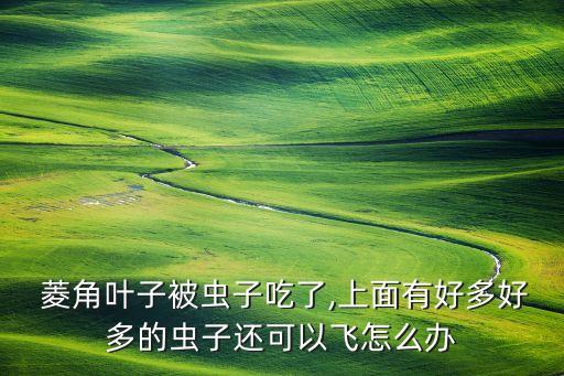 菱角撒什么農(nóng)藥殺蟲