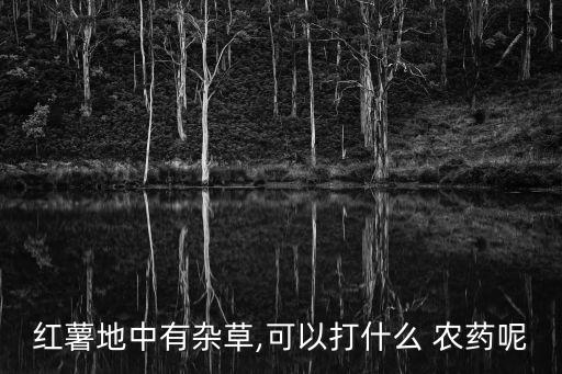 紅薯地中有雜草,可以打什么 農藥呢