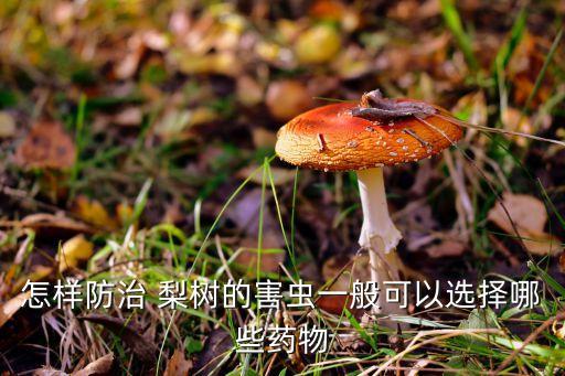梨樹食心蟲用什么農(nóng)藥好,防治梨樹食心蟲什么時候噴灑農(nóng)藥