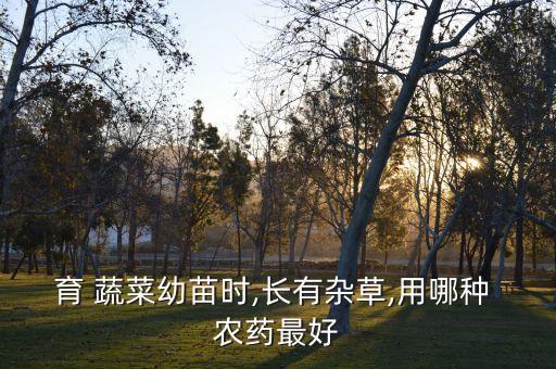 育 蔬菜幼苗時,長有雜草,用哪種 農藥最好