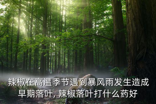  辣椒在高溫季節遇到暴風雨發生造成早期落葉, 辣椒落葉打什么藥好