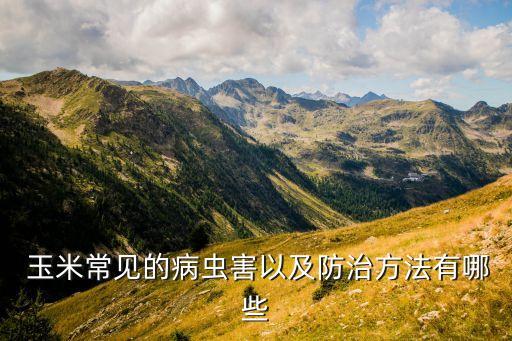  玉米常見的病蟲害以及防治方法有哪些