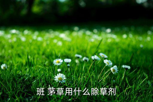 班 茅草用什么除草劑