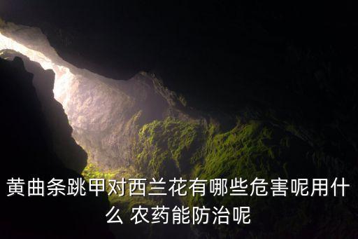 跳甲蟲用什么農藥哪里有,打跳甲蟲什么農藥好