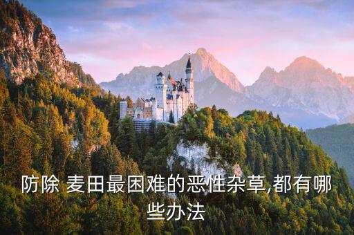 防除 麥田最困難的惡性雜草,都有哪些辦法