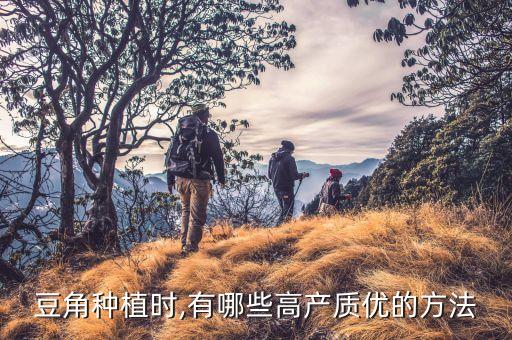 豇豆打什么農藥增產,豇豆用什么農藥
