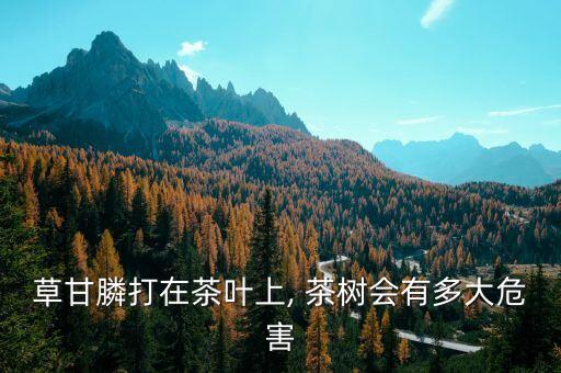 草甘膦打在茶葉上, 茶樹會有多大危害