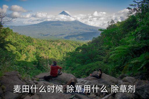 麥田什么時候 除草用什么 除草劑