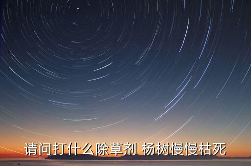 給楊樹打什么農藥不能用,什么農藥對楊樹致命