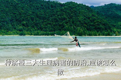 種臍橙三大生理病害的防治,應(yīng)該怎么做
