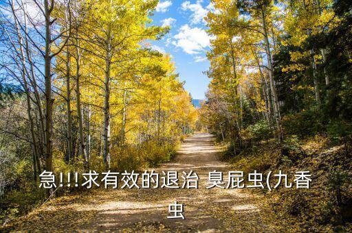 臭屁蟲什么農藥,龍眼樹有臭屁蟲用什么農藥