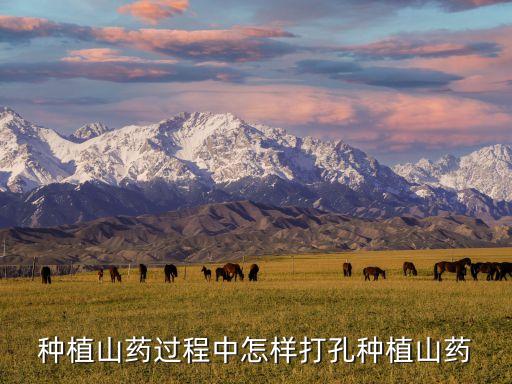 打眼手術有什么后遺癥,打眼用什么農藥