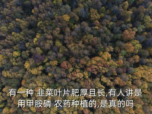 什么樣韭菜農藥,韭菜什么季節農藥最多