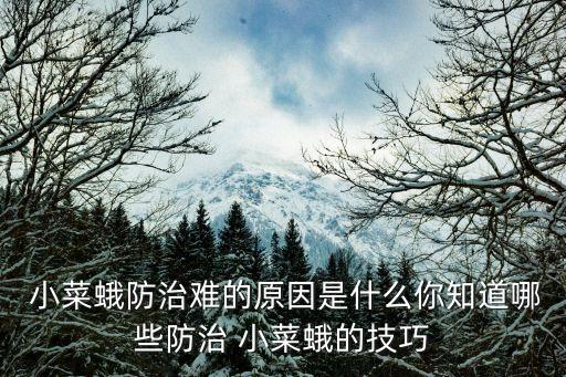  小菜蛾防治難的原因是什么你知道哪些防治 小菜蛾的技巧